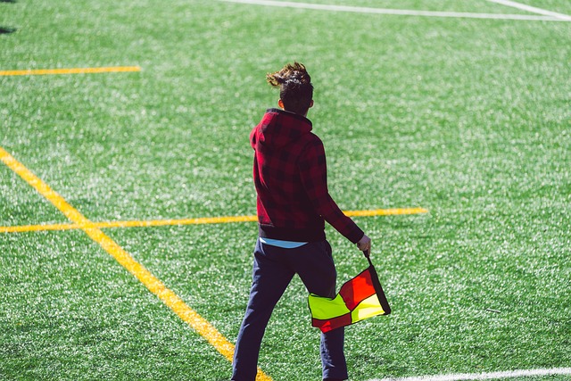 在球迷们期 在球迷们期