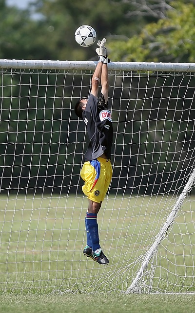 一个多面的 一个多面的