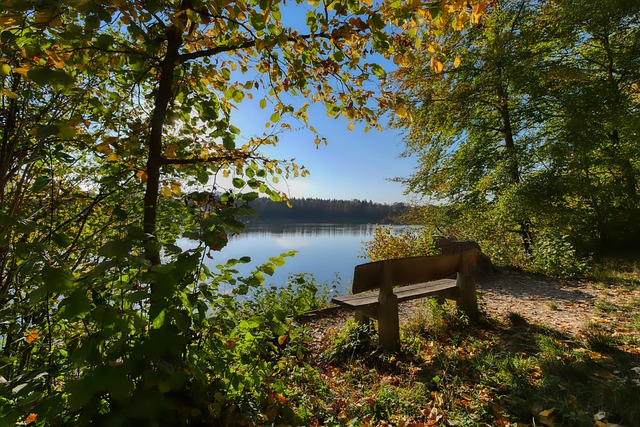 德拉普似乎 德拉普似乎